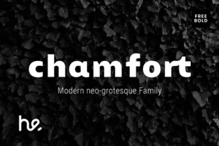 Chamfort Typeface: A Polished Choice for Small Business Branding