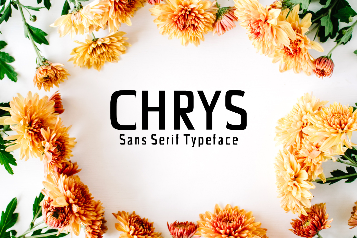 Chrys Font: A Bold Typeface for Digital Design