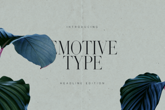 Emotive Type: A Typeface That Elevates Your Brand Story