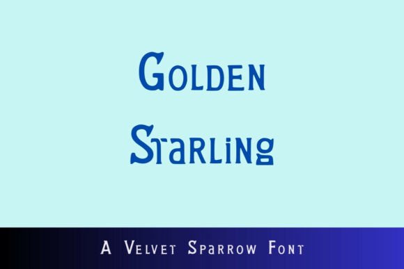 Golden Starling: A Display Font That Elevates Brand Campaigns