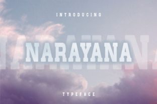 Narayana Font: A Stylish Serif for Modern Web Design
