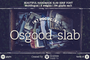 Osgood Slab: A Reliable Typeface for Campaign Designers