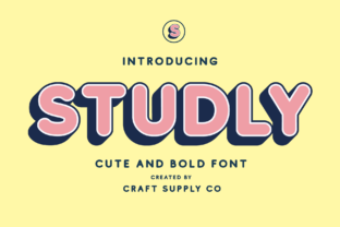 Studly Family: A Bold Typeface for a Polished Brand Identity