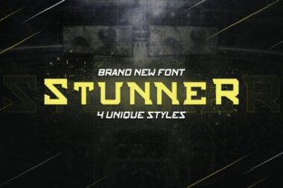 Stunner Family: A Bold Slab Serif Font for Makers and Designers